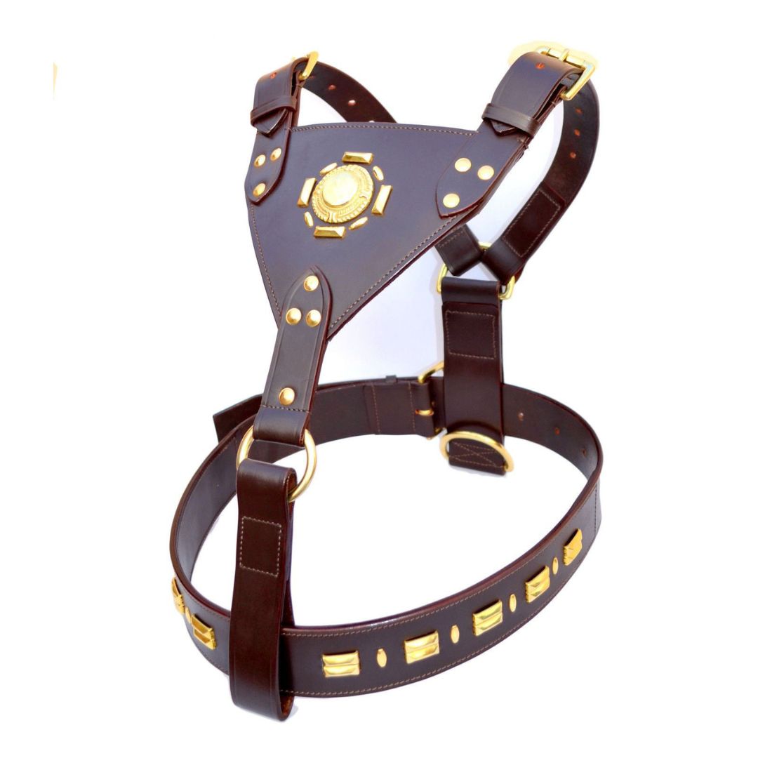 Leather Dog Harness Sun Design