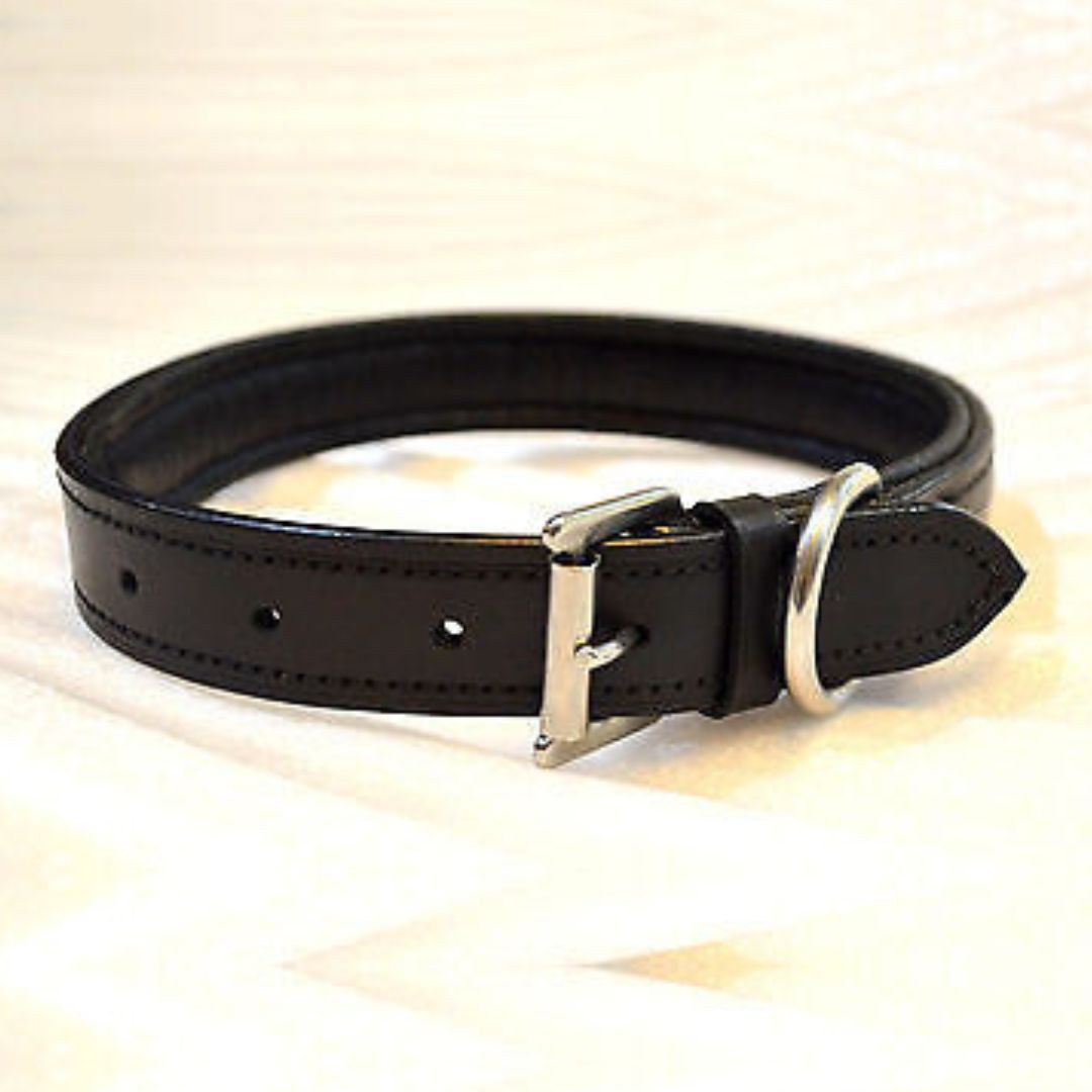 SIE Leather Empty channel dog collars black brown padded collar 8 mm