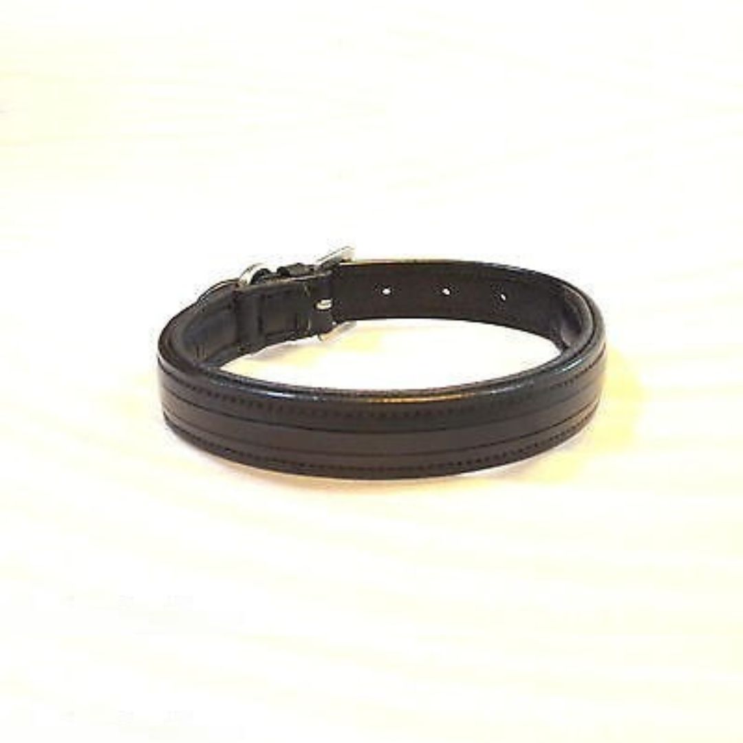 Custom Made Empty Channel Dog Collars, view 3 of 3