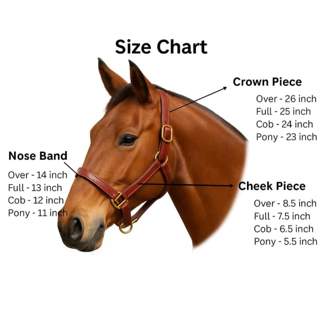 SIE Leather Lot of 12 Empty channel Adjustable Leather Horse Halters Custom