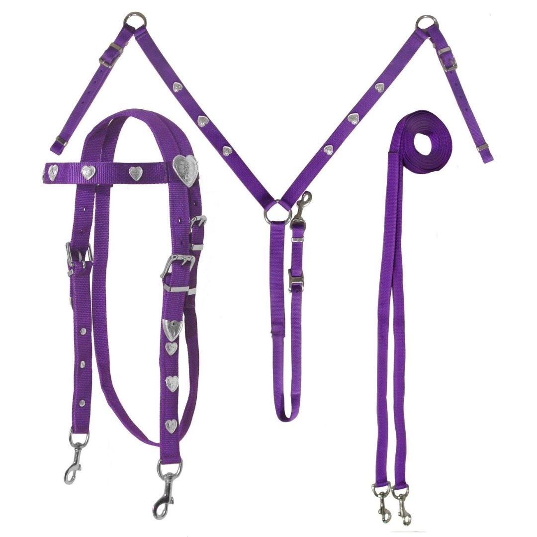 SIE Silver Heart Nylon Horse Headstall & Breast Collar & Reins Tack Set Durable Double Ply Nylon