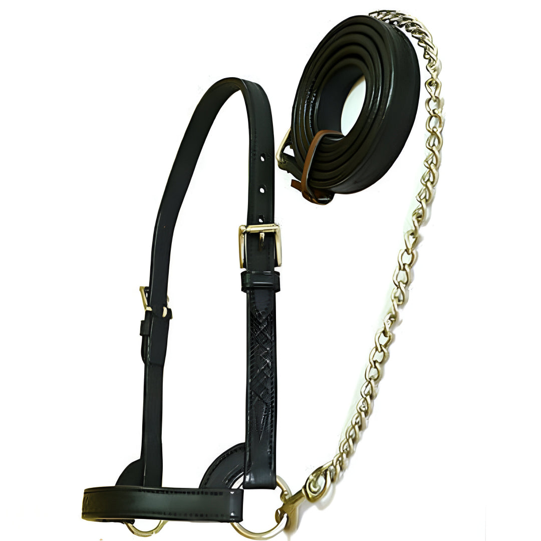 Cattle Halter with matching Fancy Stitching Calf