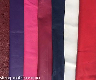 SIE (Lot of 8) COLORED LEATHER PADDED Empty Channel Leather Browbands- 8mm