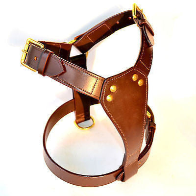 Tugby Leather Padded Dog Harness with Lead