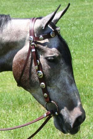 Sporting Goods:Outdoor Sports:Equestrian:Western Saddles & Tack:Bridles & Headstalls