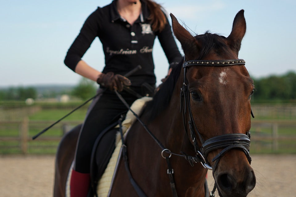 Sporting Goods:Outdoor Sports:Equestrian:Tack-English:Bridles