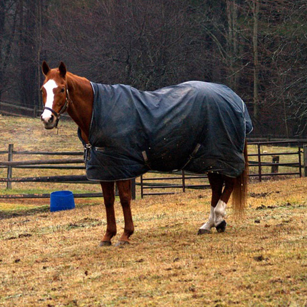 Rugs, Blankets & Pads