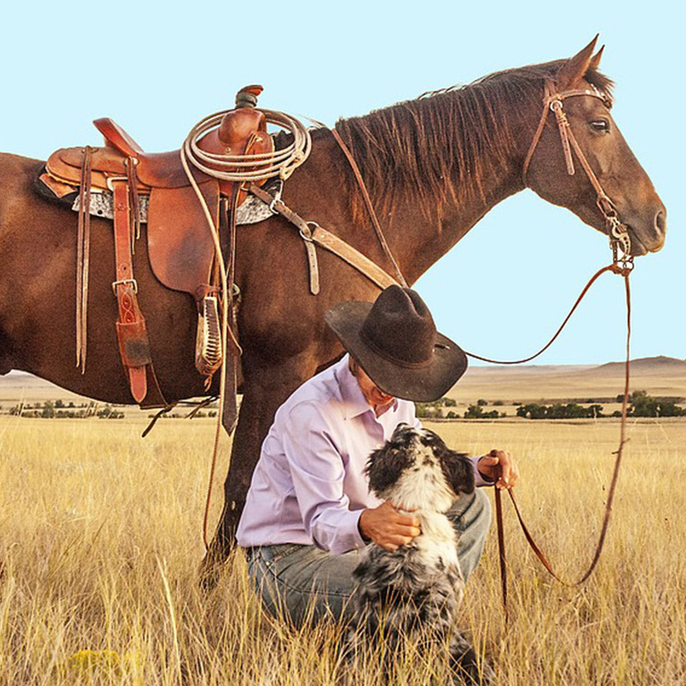 Western Saddles