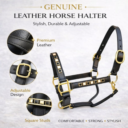 SIE Black & White Leather Horse Show Adjustable Halter Double Layer Premium Leather