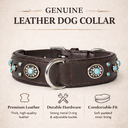 SIE Genuine Leather Turquoise Concho Leather Dog Collar – Decorative Western Style Collar