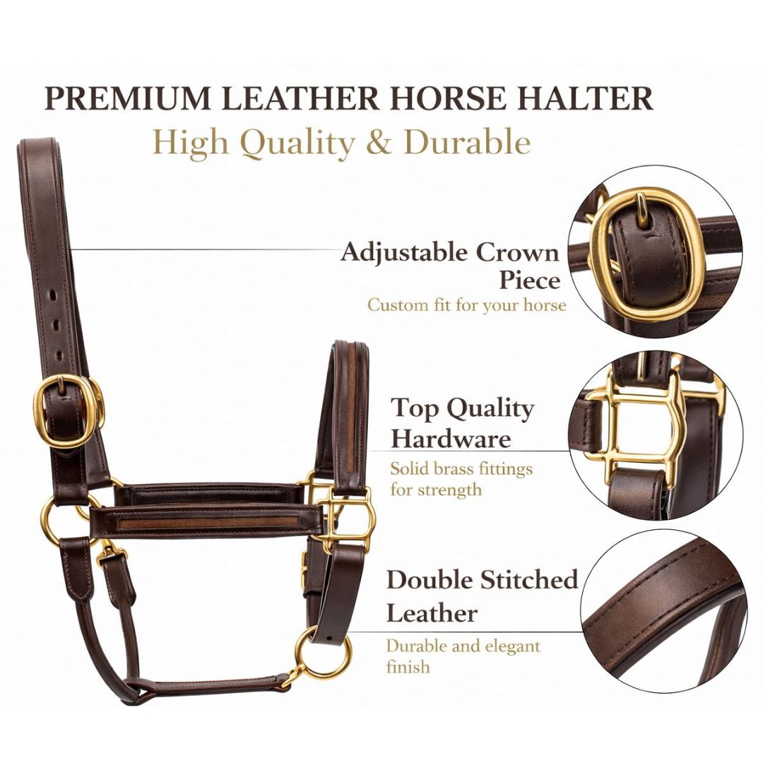 SIE Genuine Leather Empty Channel Horse Halter – Padded Adjustable Headcollar | Brass Hardware