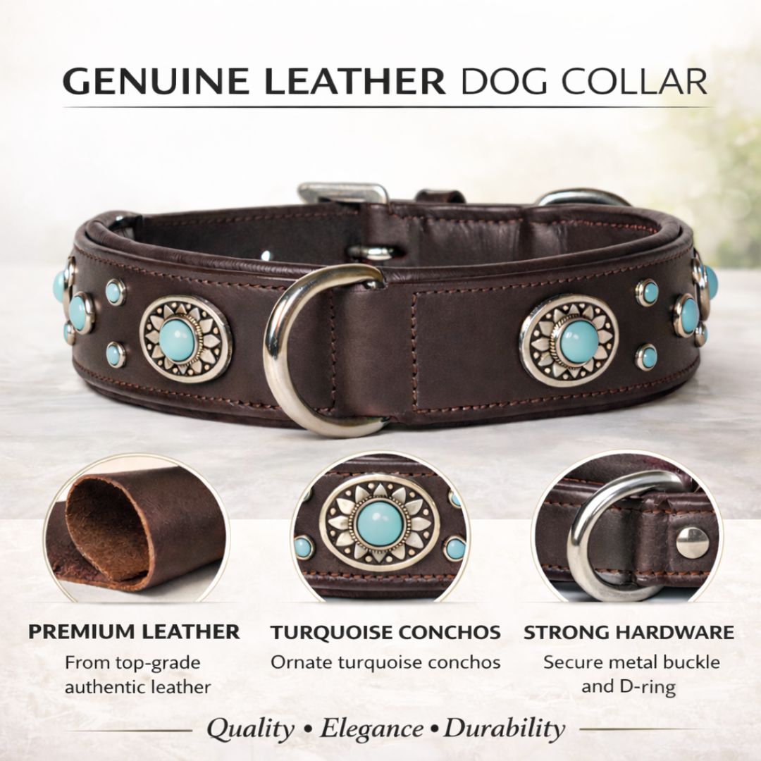 SIE Genuine Leather Turquoise Concho Leather Dog Collar – Decorative Western Style Collar