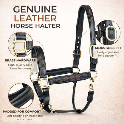 SIE Genuine Leather Braided Horse Halter Adjustable Padded Headcollar | Premium Brass Hardware