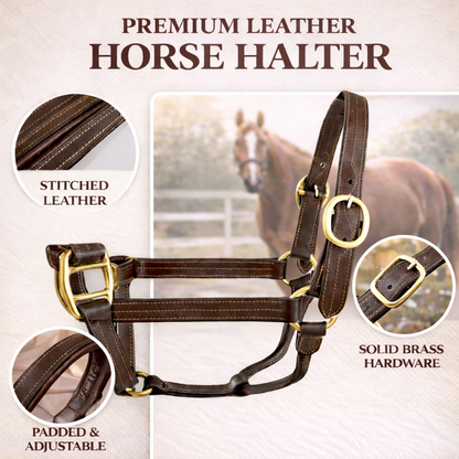 SIE Genuine Leather Horse Halter Triple Stitched with Solid Brass Hardware