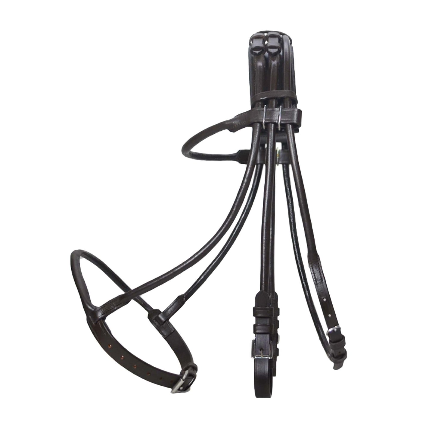 Rolled Leather Horse Bridles / Bridle