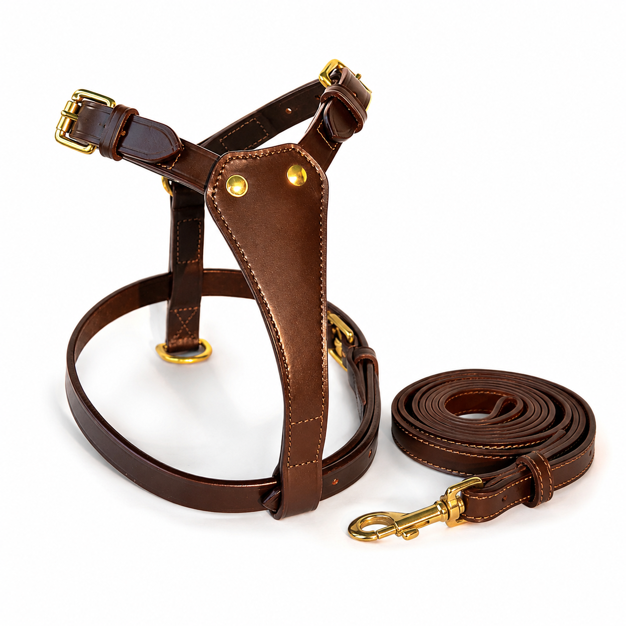 Genuine Leather Horse Harness Set – Brass Hardware & Lead Rope