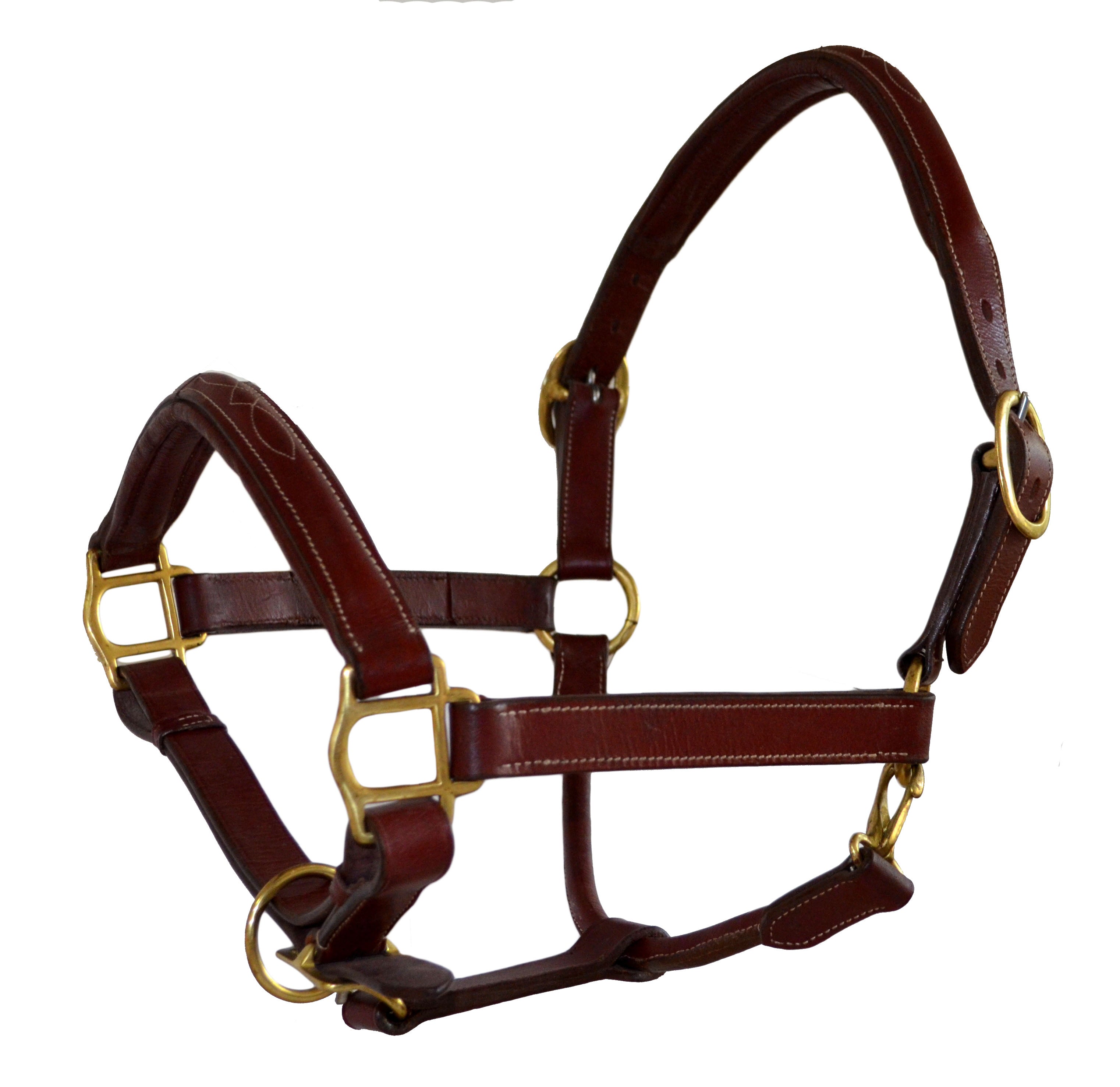 SIE Genuine Leather Fancy Stitching Horse Halter Padded Adjustable Headcollar for Pony, Cob, Full & Oversize | Brass Hardware