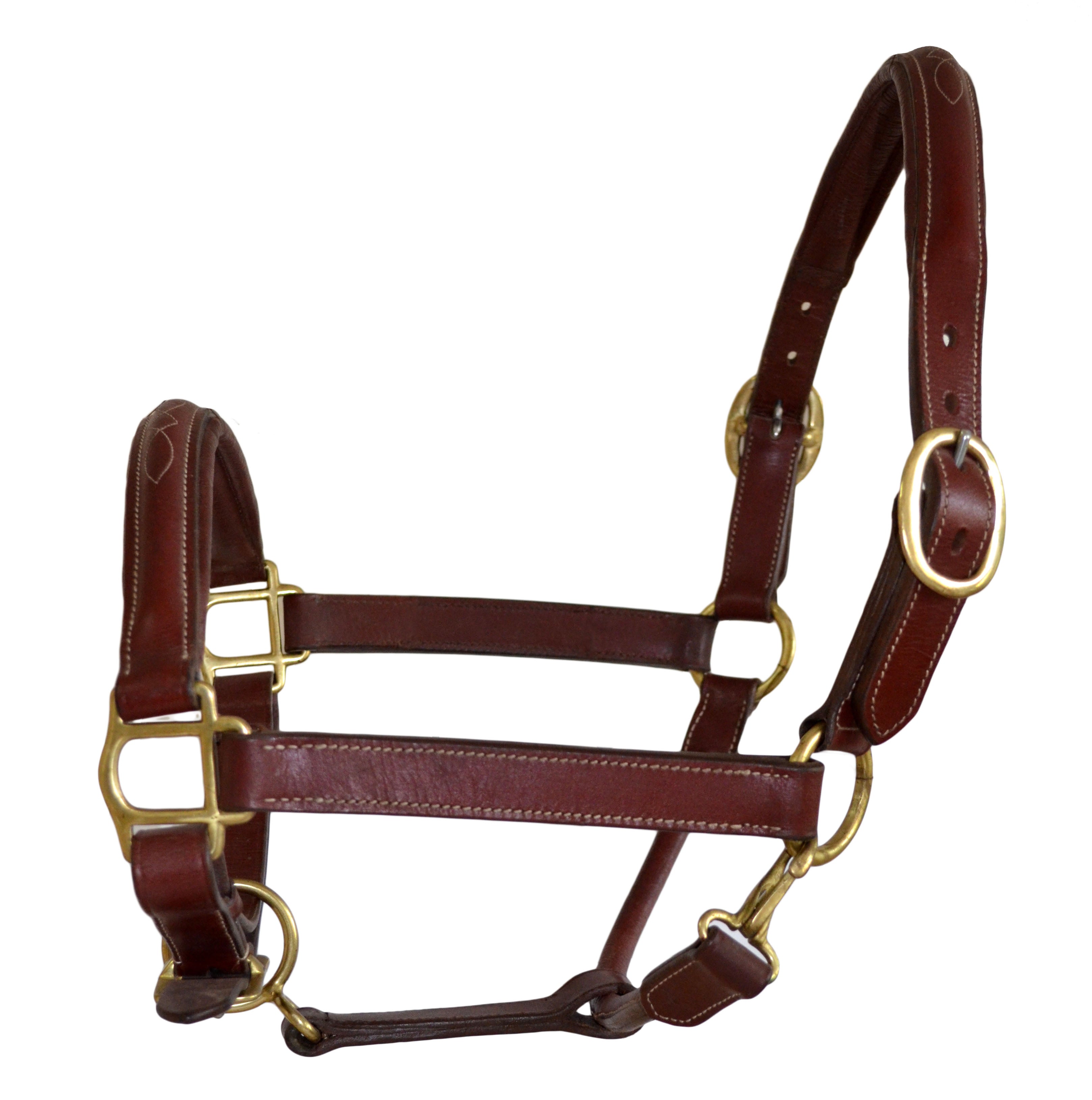 SIE Genuine Leather Fancy Stitching Horse Halter Padded Adjustable Headcollar for Pony, Cob, Full & Oversize | Brass Hardware