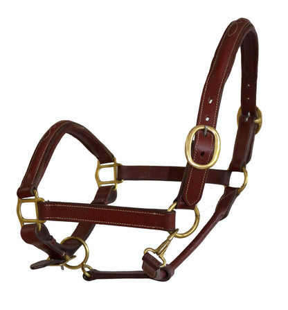 SIE Genuine Leather Fancy Stitching Horse Halter Padded Adjustable Headcollar | Brass Hardware