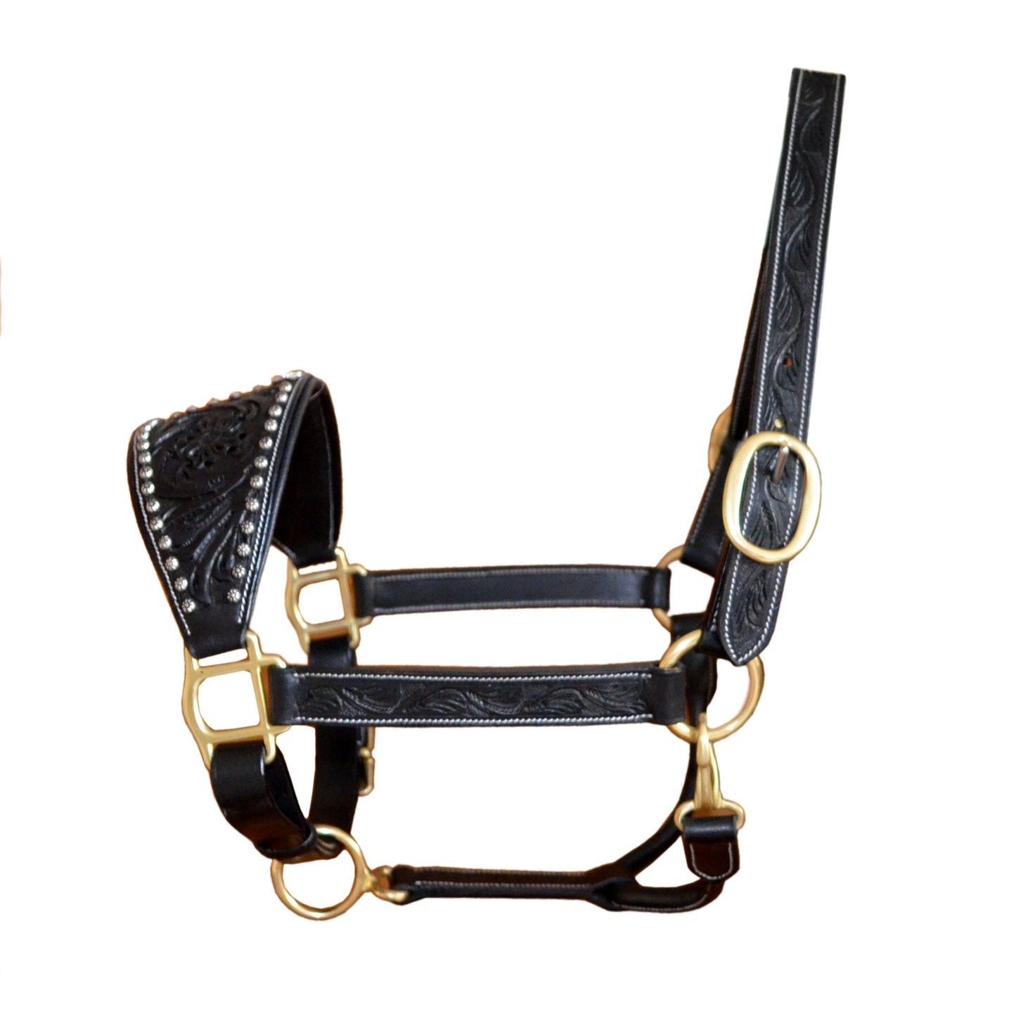Black leather horse halter with gold hardware on a white background