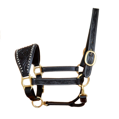 Black leather horse halter with gold hardware on a white background