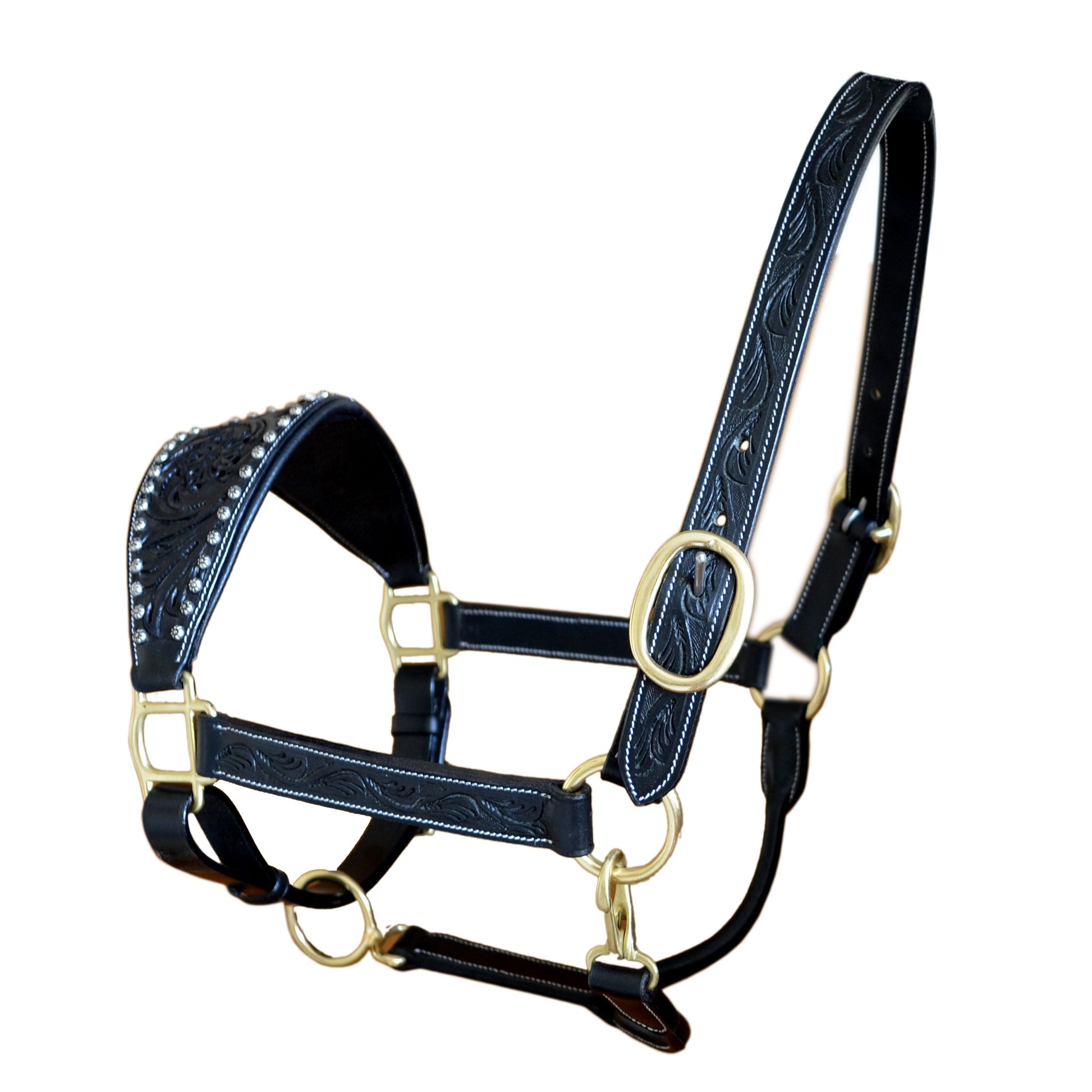 Black leather horse halter with gold hardware on a white background