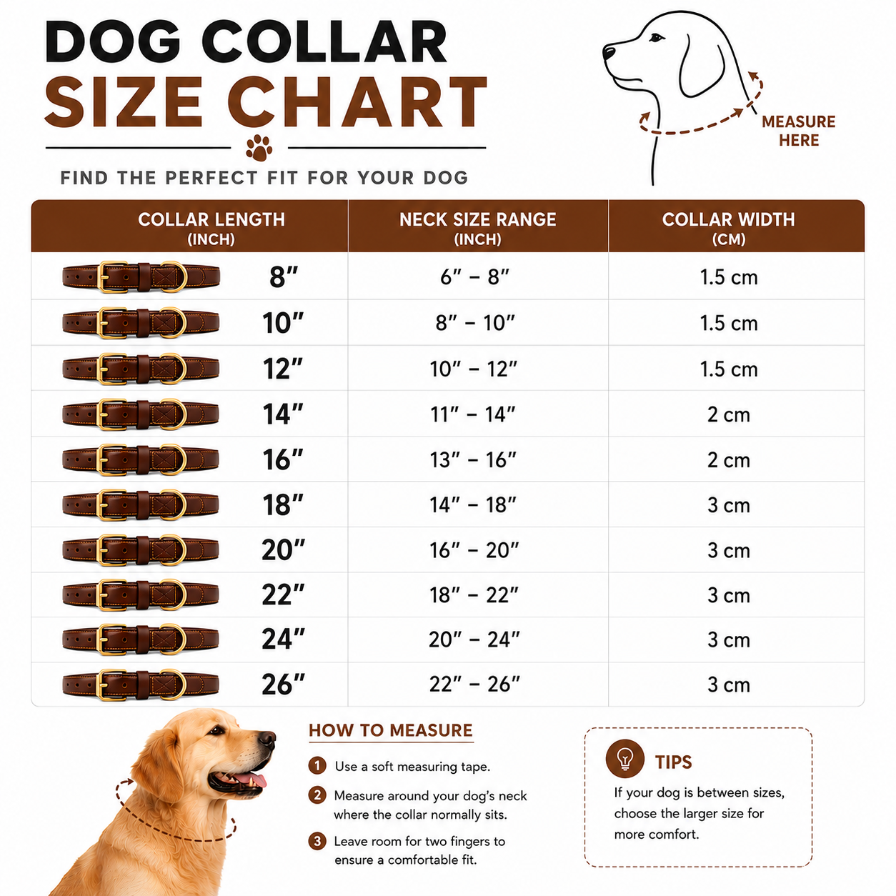 Fancy Stitched Genuine Leather Padded Dog Collar