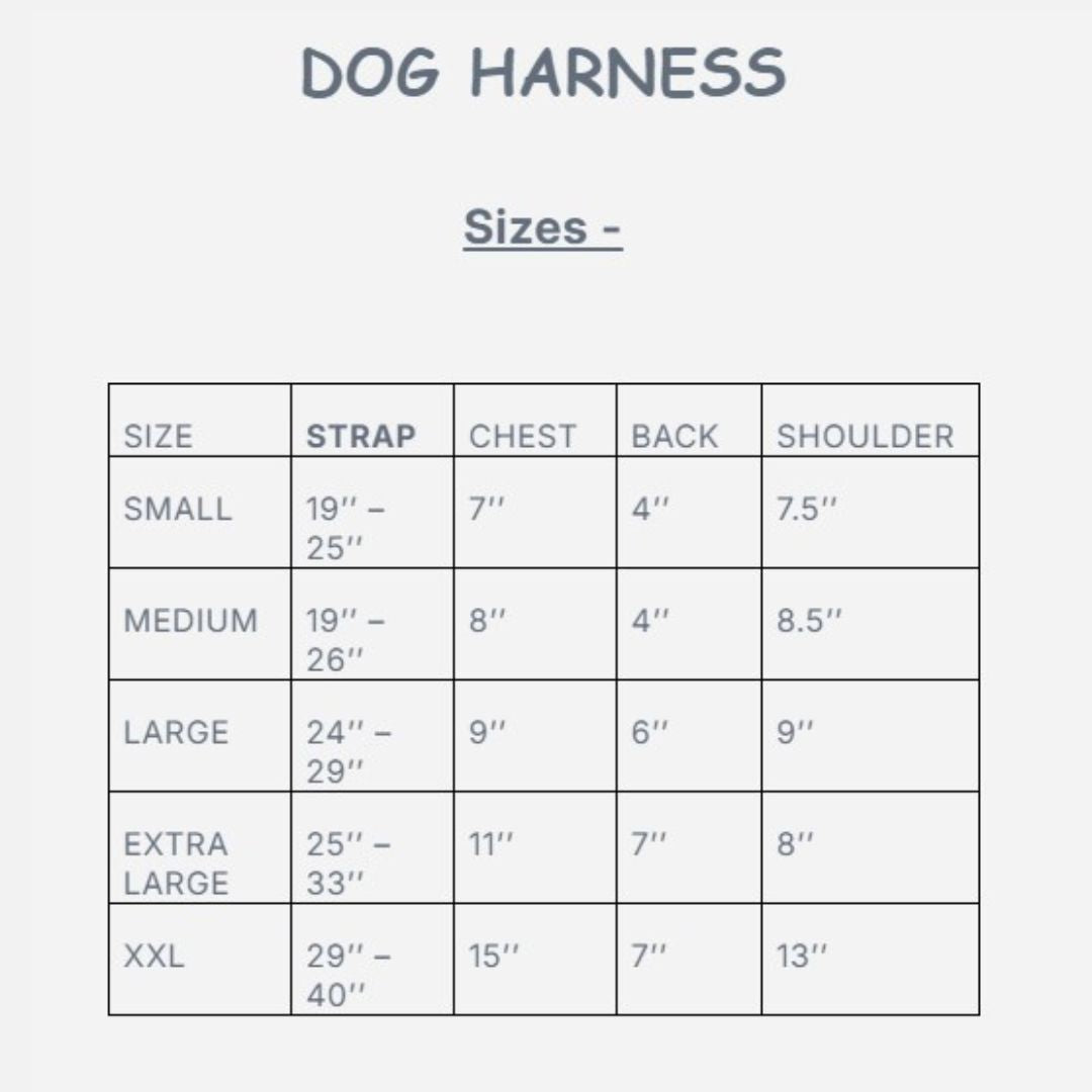 Leather Dog Harness - all sizes available now  SADDLES EHS