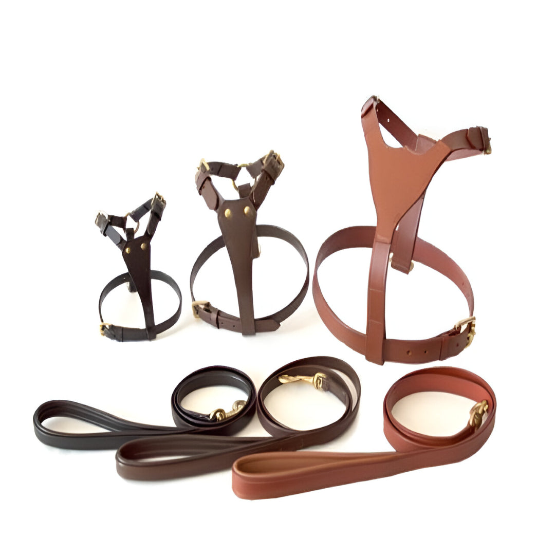 Tugby Leather Padded Dog Harness with Lead
