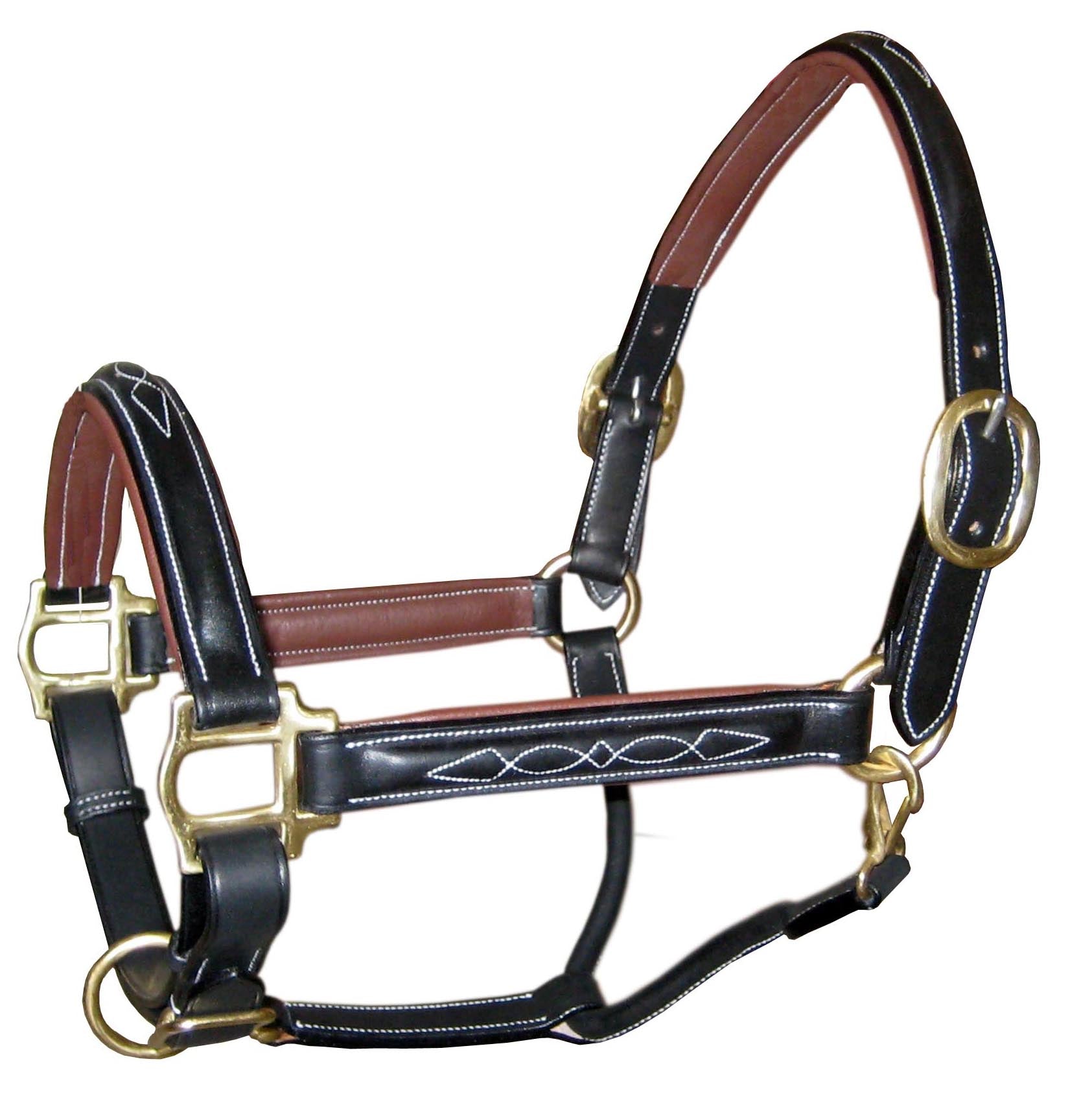 Black and brown leather horse halter with gold hardware on a white background