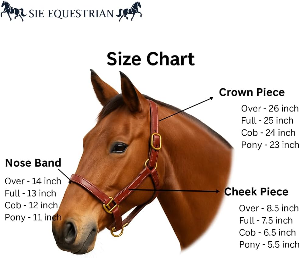 SIE Genuine Leather Horse Halter with Padding Durable Fancy Raised Stitching Solid Brass Hardware