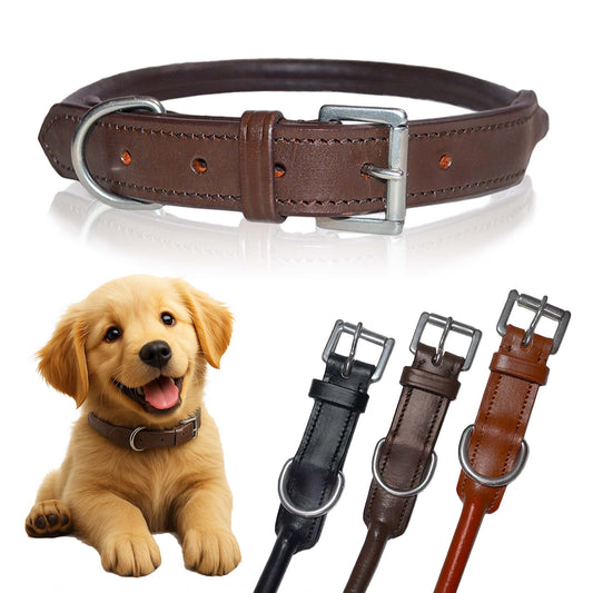 Rolled Leather Dog Collar