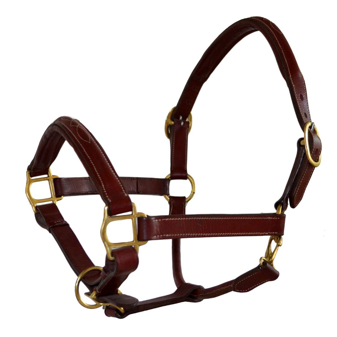 SIE Genuine Leather Fancy Stitching Horse Halter Padded Adjustable Headcollar for Pony, Cob, Full & Oversize | Brass Hardware