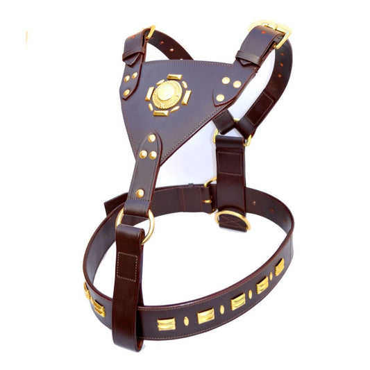 Leather Dog Harness Sun Design