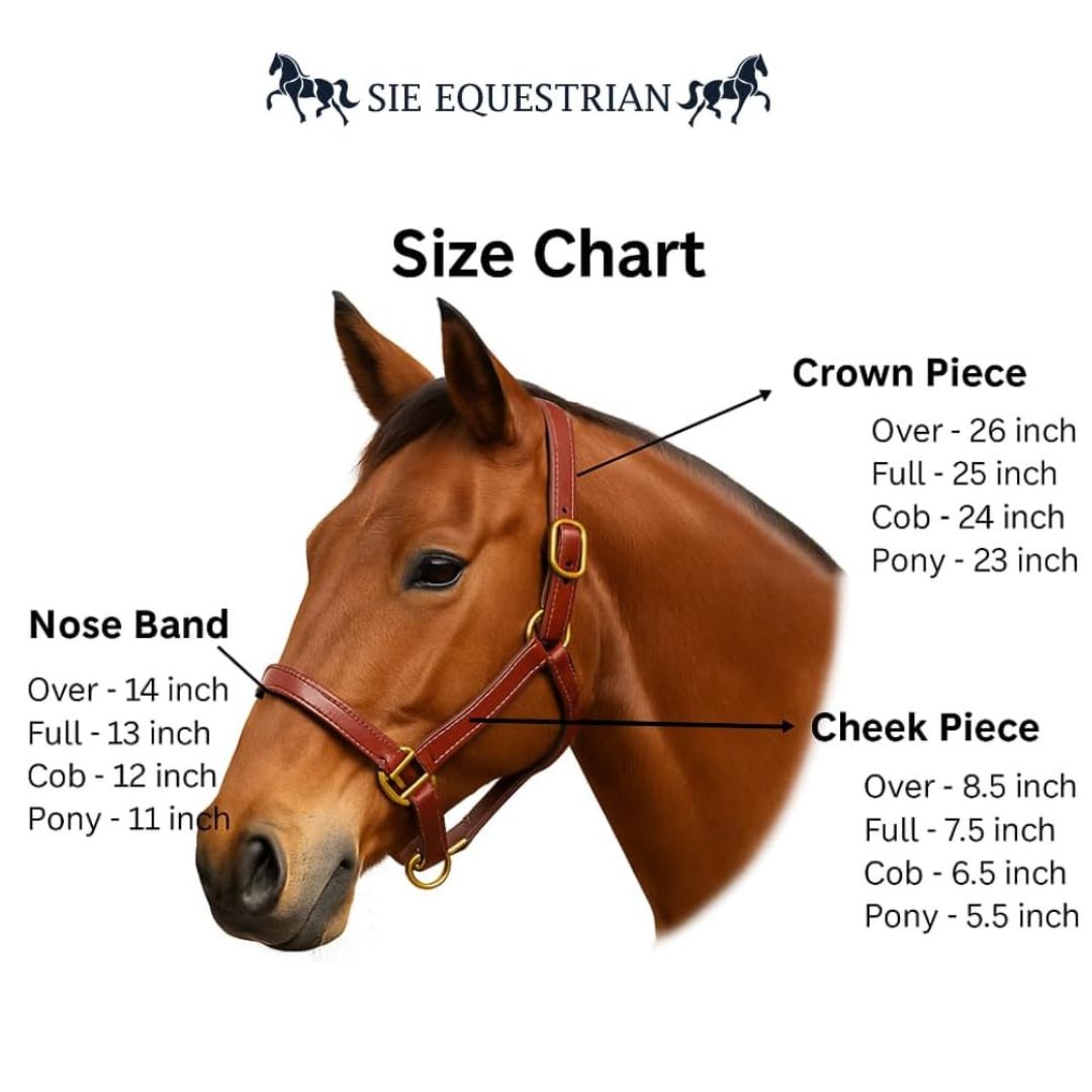 SIE Adjustable Horse Premium Rolled Leather Halter & Brass Hardware