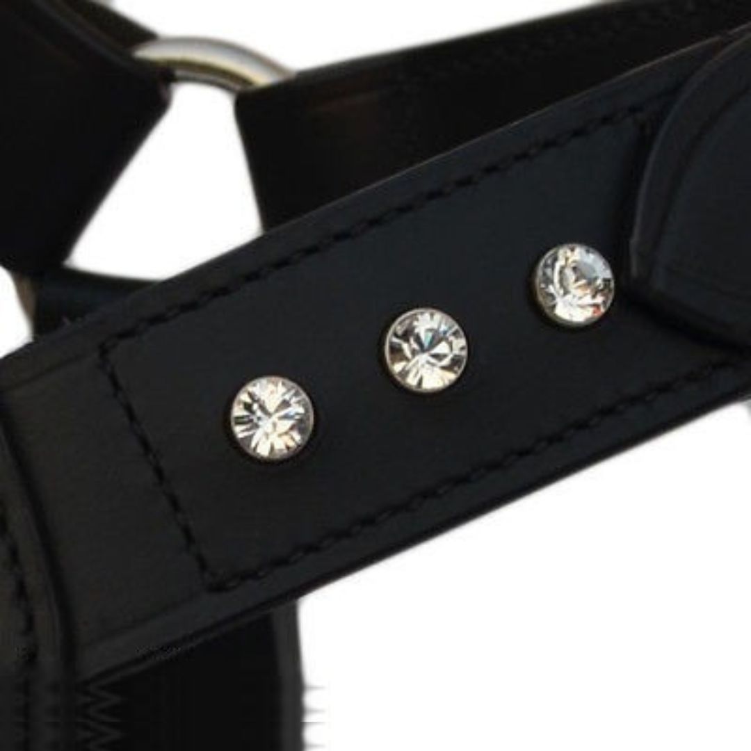 Leather Dog Harness with crystals  Bull Dog design and matching black lead