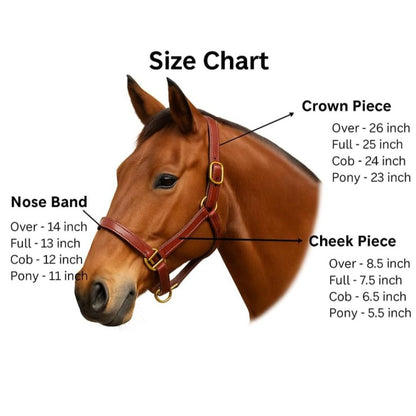 SIE Polo Leather Adjustable Horse Halter Premium Handcrafted Leather Headcollar with Thread Design Solid Brass Hardware