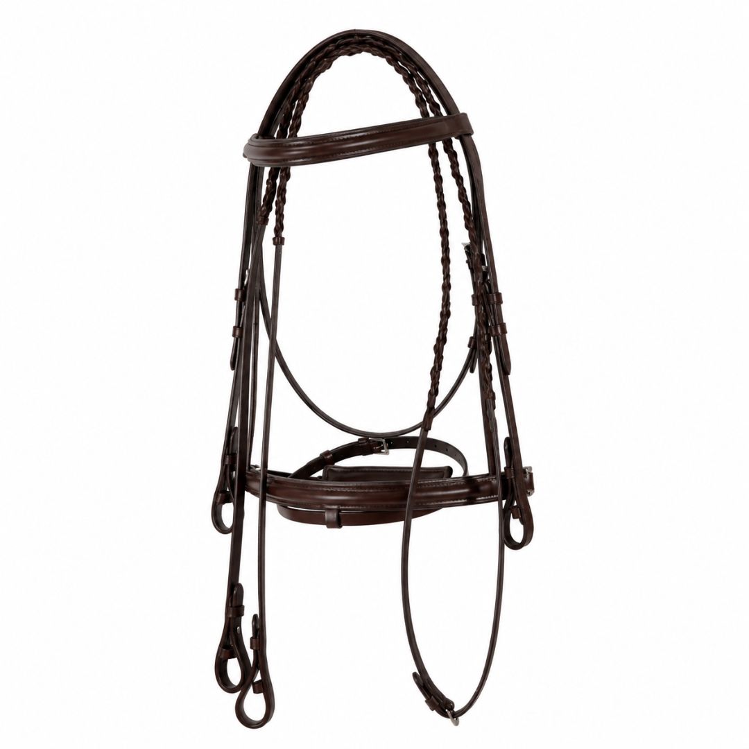 SIE Dressage Bridle with Reins – Premium Leather Horse Bridle with Stainless Steel Hardware