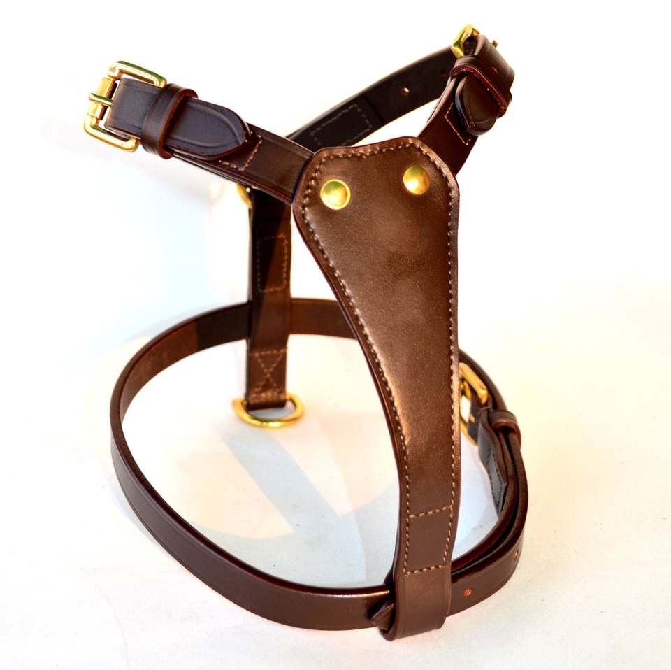 Genuine Leather Horse Harness Set – Brass Hardware & Lead Rope