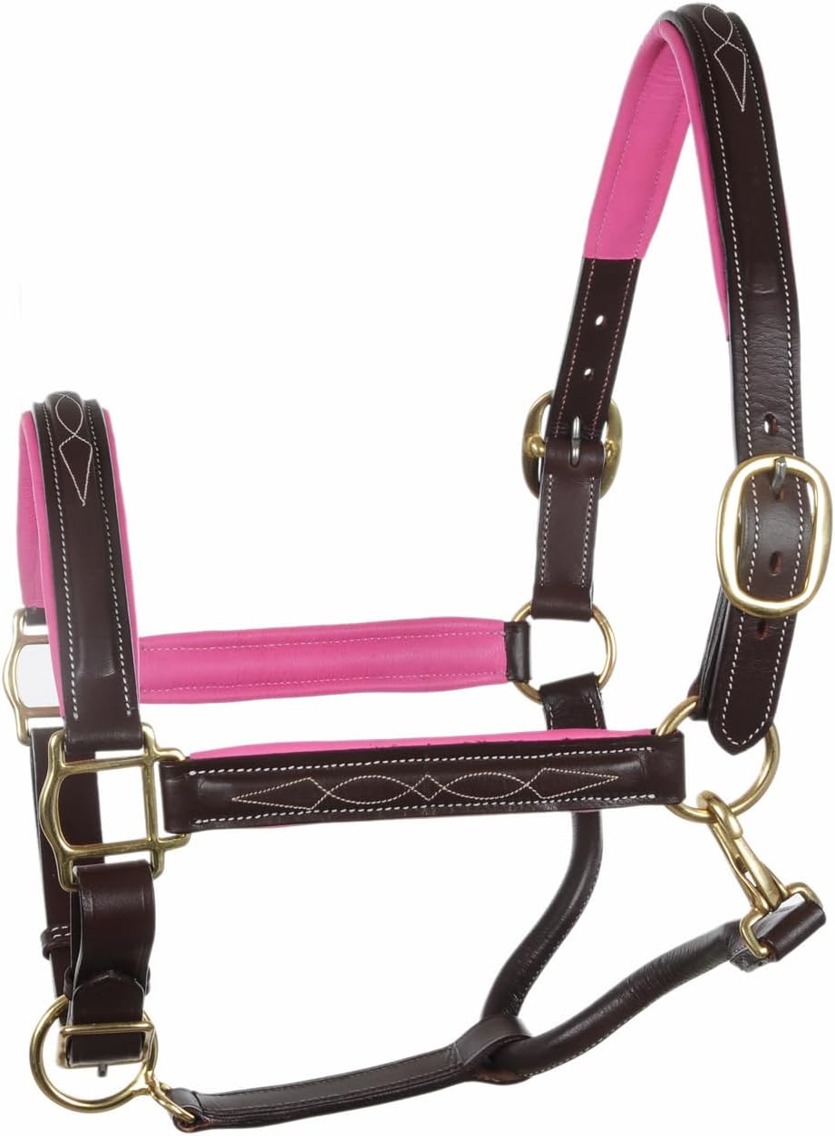 SIE Genuine Leather Horse Halter with Padding Durable Fancy Raised Stitching Solid Brass Hardware