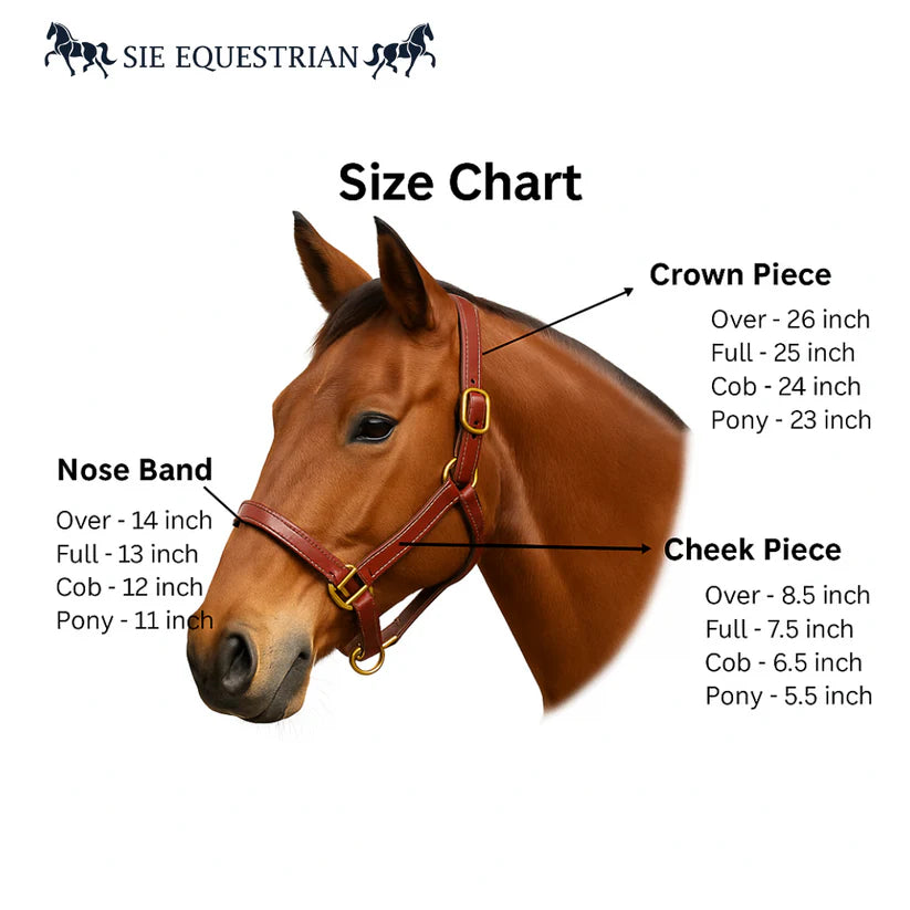 SIE Polo Leather Adjustable Horse Halter Premium Handcrafted Leather Headcollar with Thread Design Solid Brass Hardware