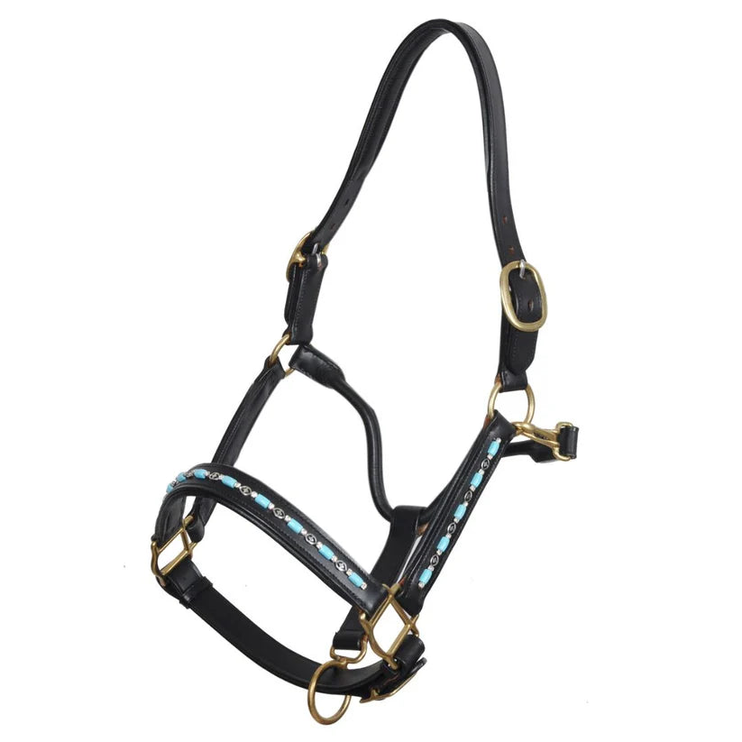 SIE Equestrian Turquoise Beaded Leather Padded Show Horse Halter with Brass Hardware
