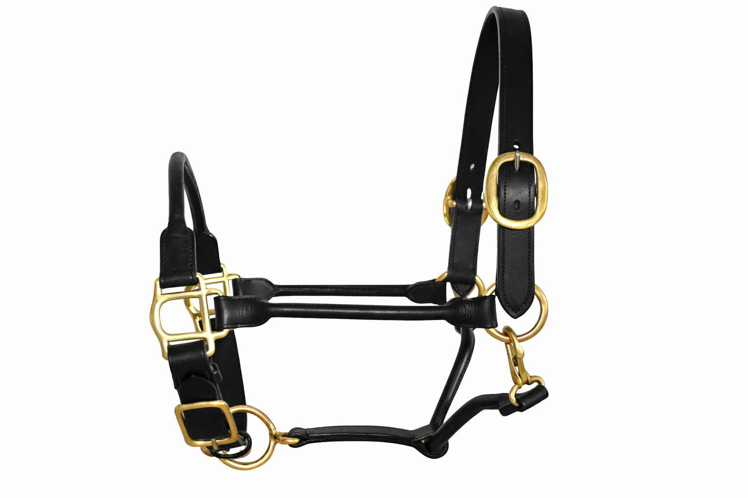 SIE Adjustable Horse Premium Rolled Leather Halter & Brass Hardware