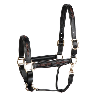 SIE Genuine Leather Braided Horse Halter Adjustable Padded Headcollar | Premium Brass Hardware