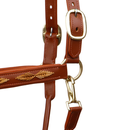 SIE Genuine Leather Braided Horse Halter Adjustable Padded Headcollar | Premium Brass Hardware