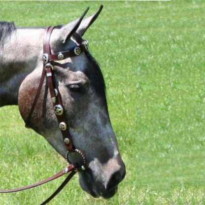SIE Genuine Leather Headstall Breast Collar & Reins Set - Hand Engraved Silver Star Concho Western Horse Tack