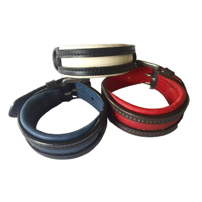 Empty Channel Inlay Leather Padded Dog Collars 5 pcs.