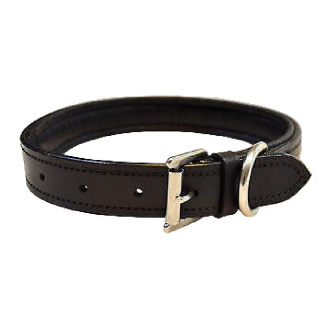Empty Channel Inlay Leather Padded Dog Collars 5 pcs.