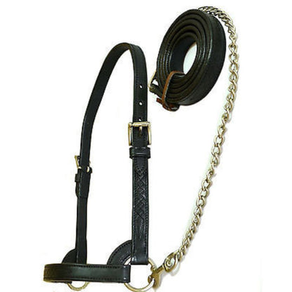 USA Leather Fancy Stitch Cattle Halter with Brass Chain Lead