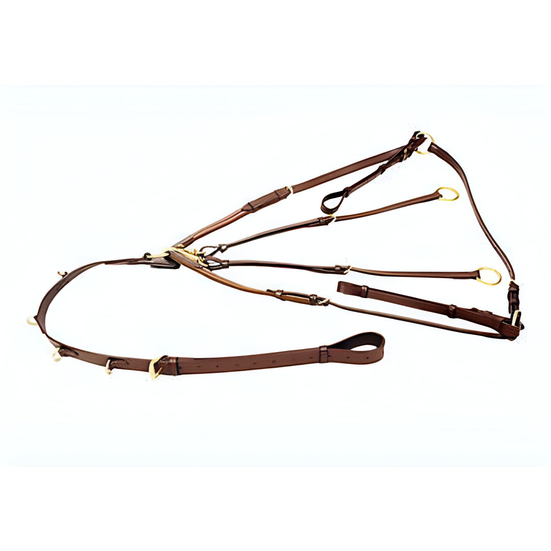 SIE Leather Running Martingale with breastplate - all size and colors in brass